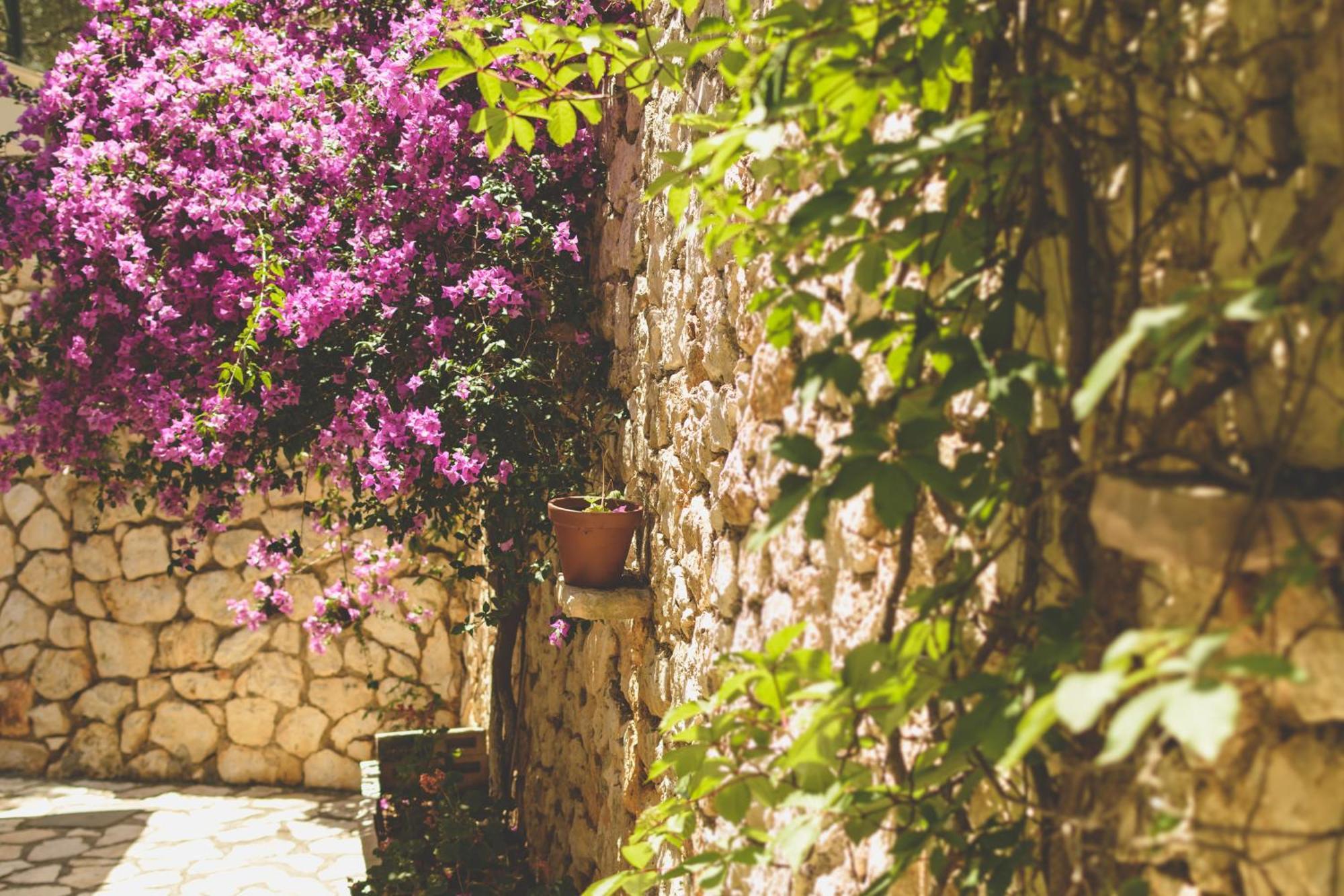 Althea Studios Lefkada Áyios Nikítas Pokoj fotografie
