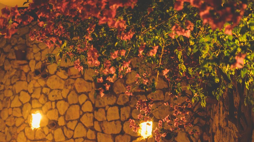 Althea Studios Lefkada Áyios Nikítas Pokoj fotografie
